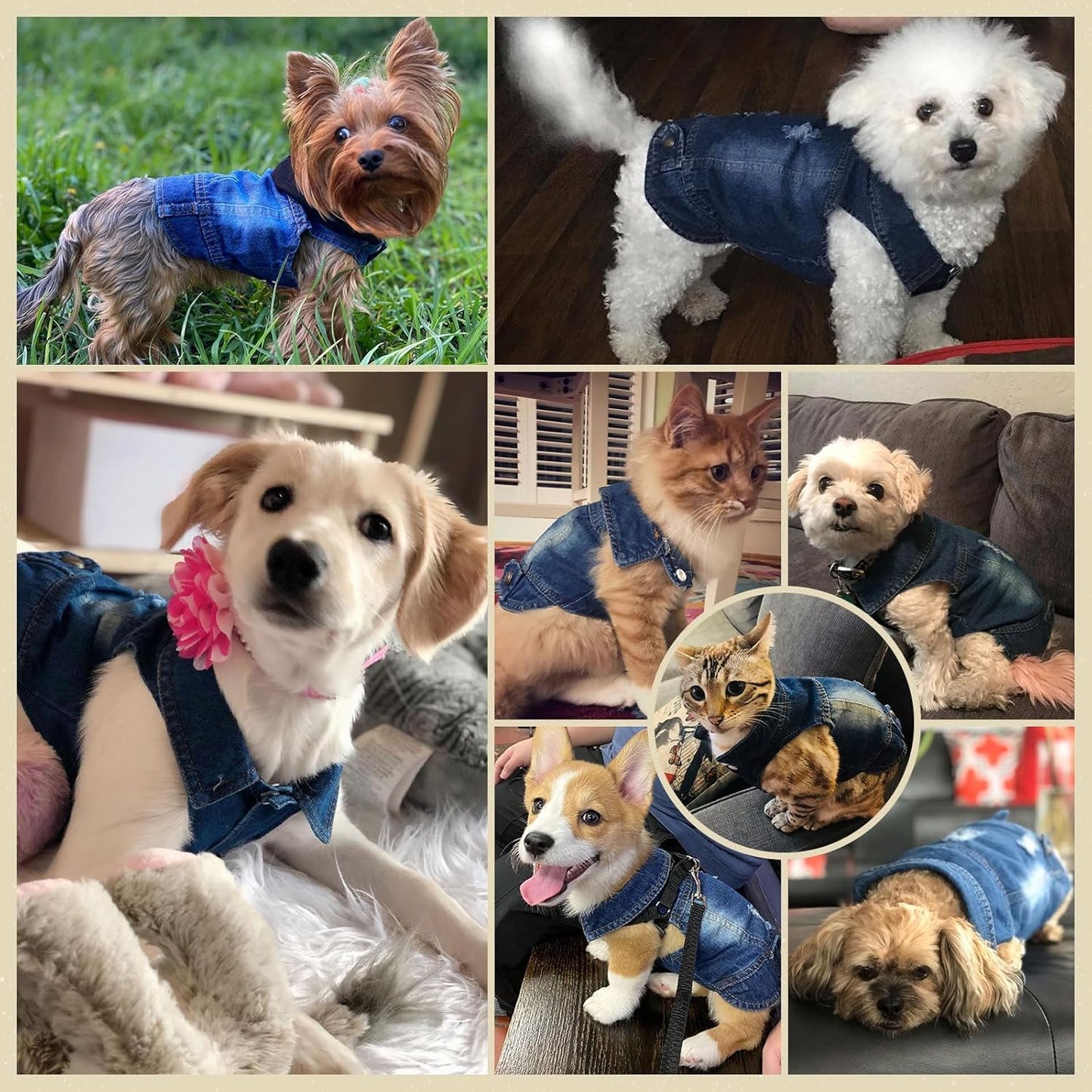 Cool Dog Jean Jacket Small Puppy Outfits Frenchie Clothes Denim Coats for Small Medium Dogs Cats Boys Girls Pet Vest Dog Shirt Clothing Doggy Costume (Blue, Xs(Suggest 2-4 Lbs))