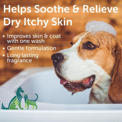 - Oatmeal Pet Shampoo for Sensitive Skin - Revitalizes Dry Skin & Coat - Natural Ingredients - Gentle Shampoo - Cleans & Conditions