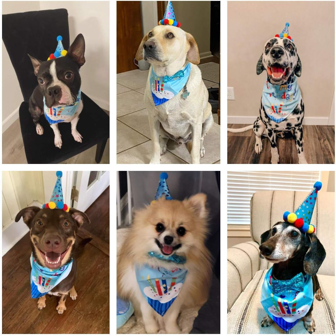 Dog Birthday Hat, Blue Birthday Boy Bandana with Bow Tie, Large | 3 Sizes, It'S My Birthday Dog Bandana, Colorful Pom Pom Hat, Bow Tie & Age Numbers for Medium Large Dogs