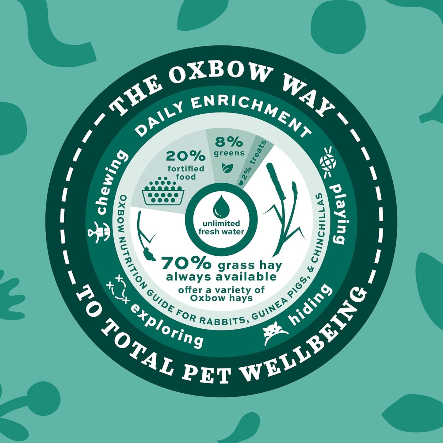 Western Timothy Hay, Guinea Pig Hay, Small Pet Bunny Supplies, All Natural Grass for Guinea Pig, Bunny, Chinchilla & Hamster,  Rabbit Supplies for Bunnies, 9 Lb Box