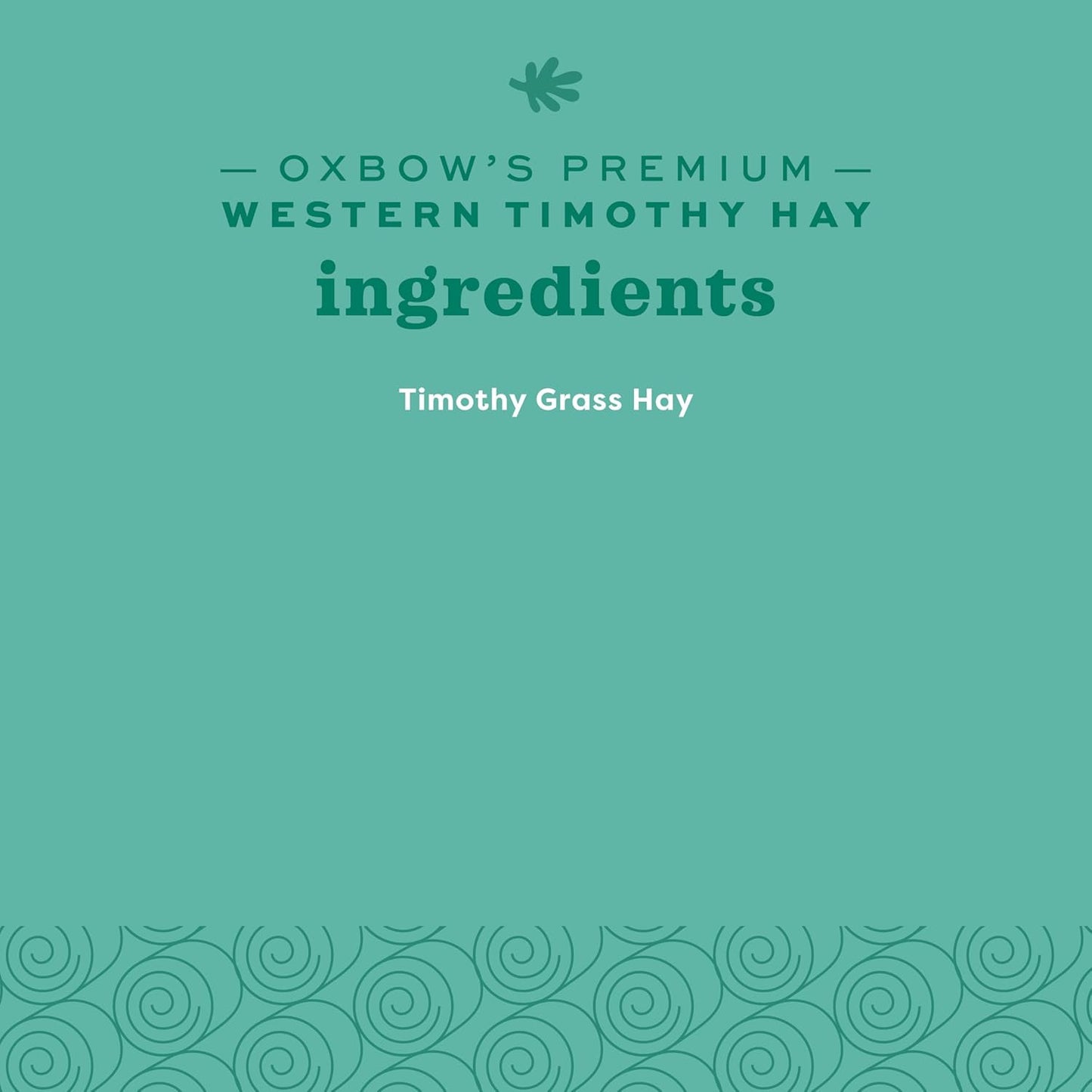 Western Timothy Hay, Guinea Pig Hay, Small Pet Bunny Supplies, All Natural Grass for Guinea Pig, Bunny, Chinchilla & Hamster,  Rabbit Supplies for Bunnies, 9 Lb Box