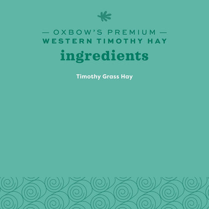 Western Timothy Hay, Guinea Pig Hay, Small Pet Bunny Supplies, All Natural Grass for Guinea Pig, Bunny, Chinchilla & Hamster,  Rabbit Supplies for Bunnies, 9 Lb Box